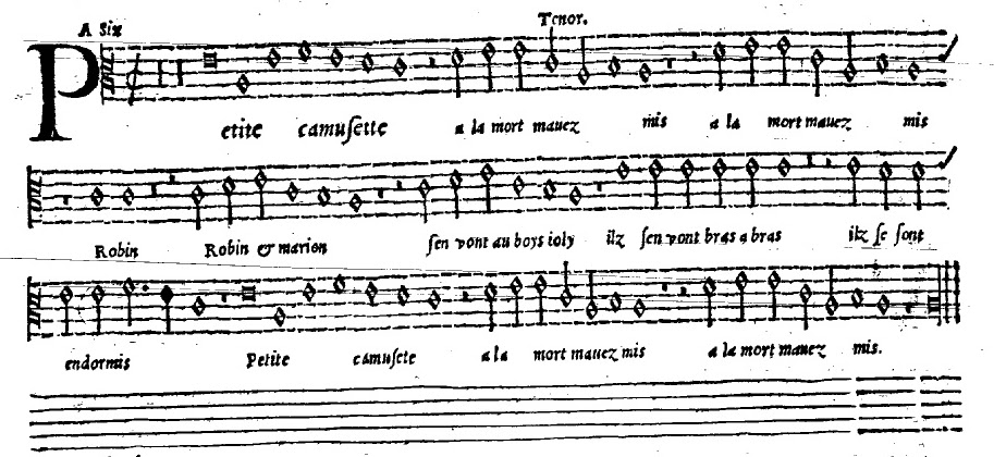 Tenor de la chanson "Petite camusette" de Josquin Desprez.