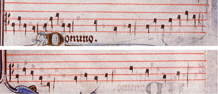 tenor_DOMINO