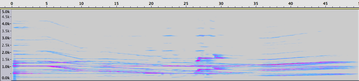 Espectrograma de la Sección 5.