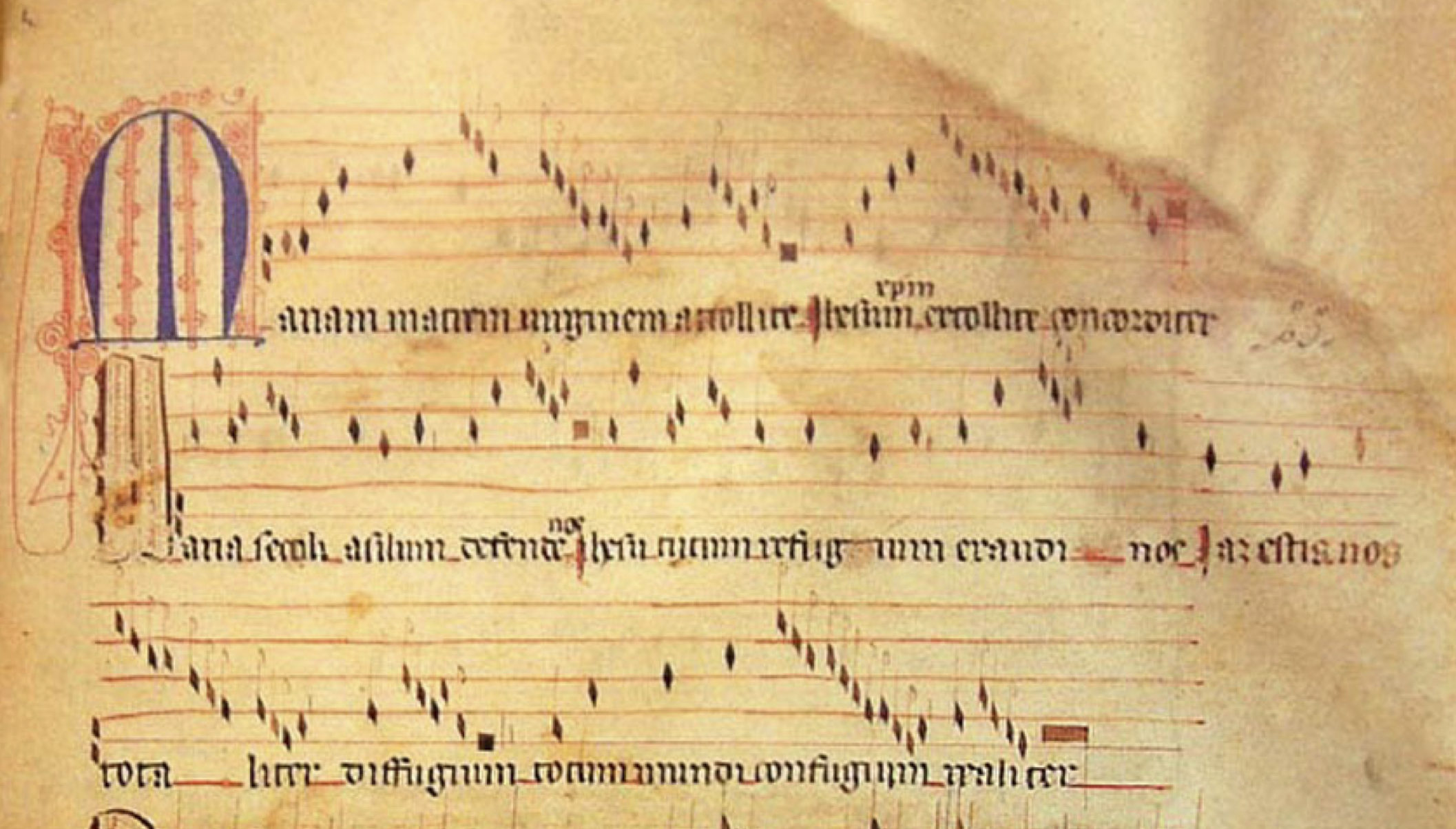 Voz superior de «Maria matrem virginem», Llibre Vermell, f.25r.